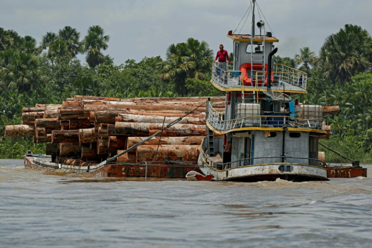 A boat transports logs along the Murutipucu River in northeast Para, Brazil in September 2020
