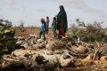 Internally displaced Somali woman and her children stand near the carcasses of their dead livestock following severe droughts near Dollow, Gedo Region