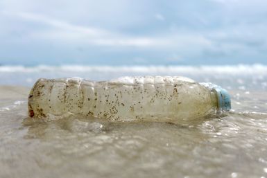 A plastic bottle washed up by the sea is seen at the Ao Phrao Beach, on the island of Ko Samet
