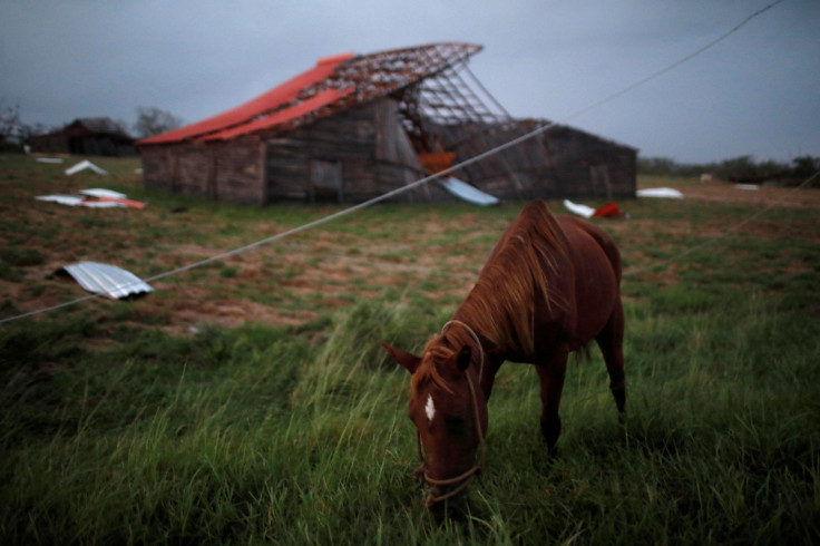 Cubans face Hurricane Ian in Puerta de Golpe, Cuba