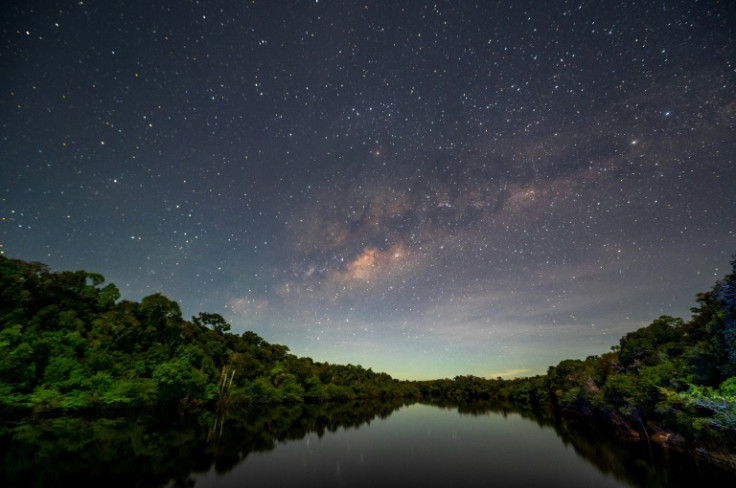 Recent research shows the Amazon rainforest, a key buffer against global warming, is in fragile health -- a major issue in Brazil and beyond as the South American country elects its next president