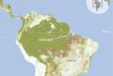 Map showing the current area of forest in the Amazon and the area lost since 2001