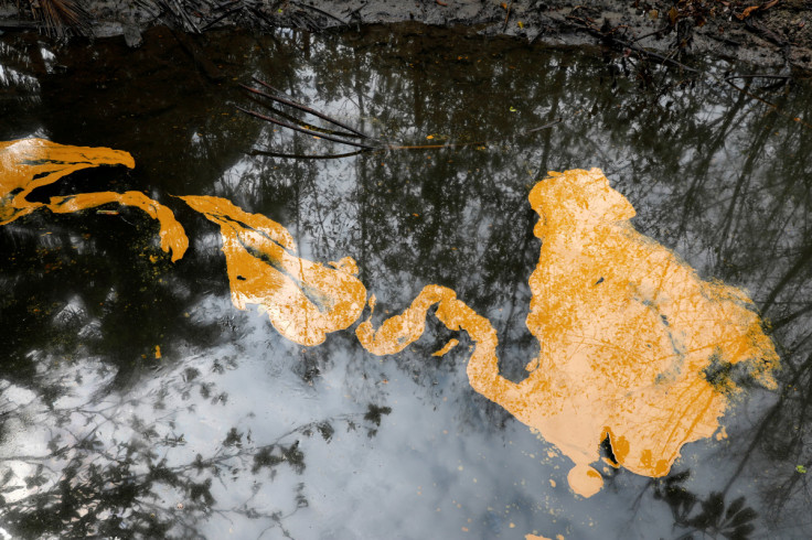 Oil slick is seen on Santa Barbara creek, following an oil spill in Nembe Bayelsa