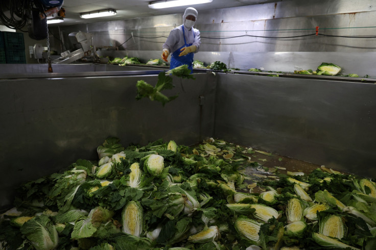 An employee works at Cheongone Organic Kimchi factory in Cheongju