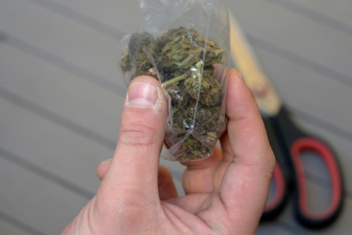 A person holds a bag with illegally purchased marijuana in Montevideo