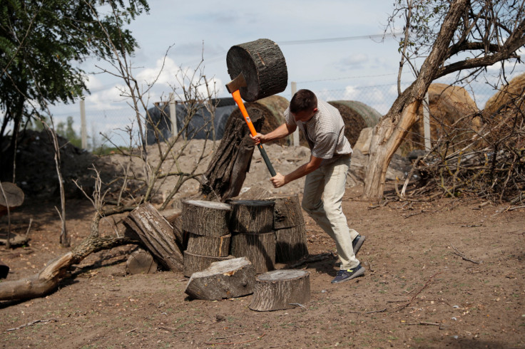 Mihaly Pogany cuts a tree in his farm near Kecskemet