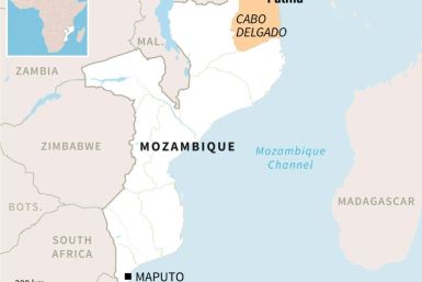 Map of Mozambique locating Cabo Delgado and Palma