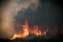 Record heatwaves and drought have sparked devastating wildfires in Europe