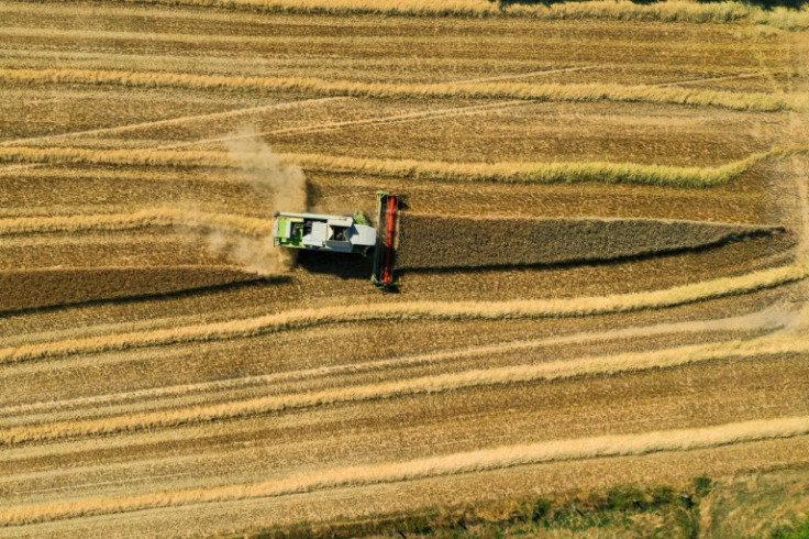 Drought gripped parts of Europe throughout the summer