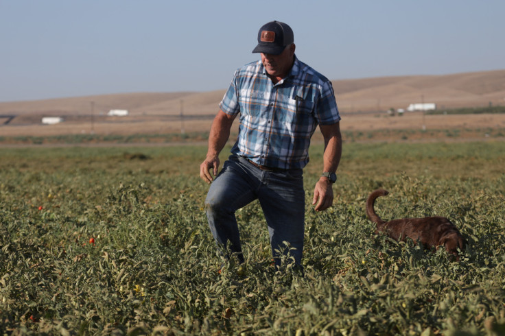 Drought cuts into California's crops, driving up farming costs