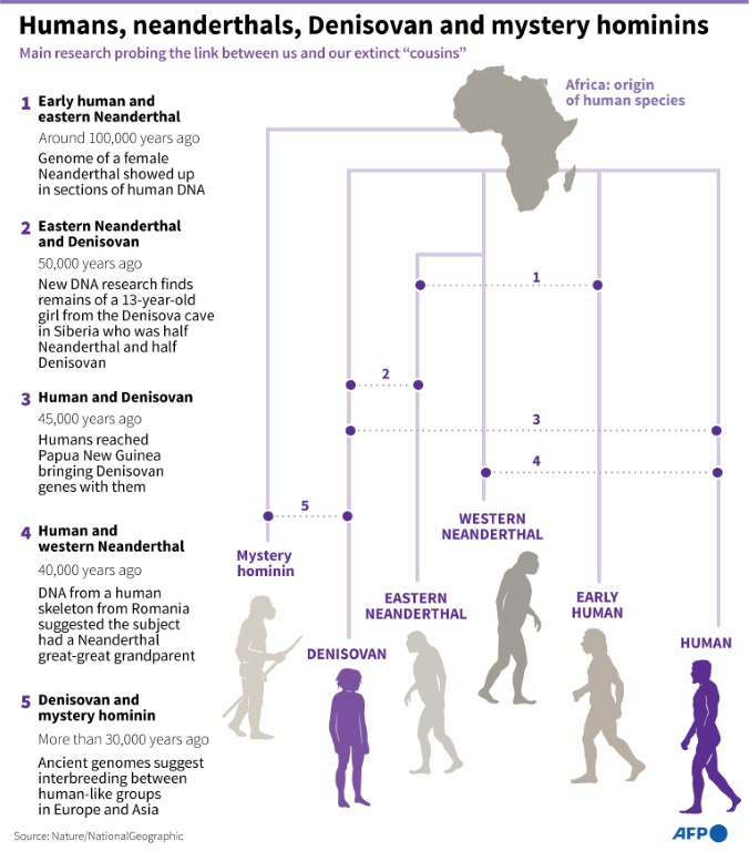 Neanderthals, Humans Co-existed In Europe For Over 2,000 Years: Study