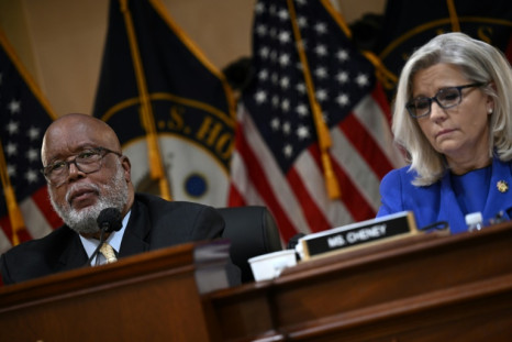 Democrat Bennie Thompson and Republican Liz Cheney are the chairman and vice chairwoman of the investigating panel