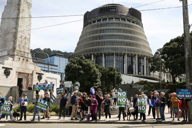 New Zealand Farmers Protest Livestock 'Burp And Fart' Tax | IBTimes