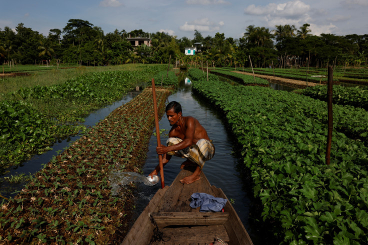 The Wider Image:  Bangladesh farmers revive floating farms to fight climate change