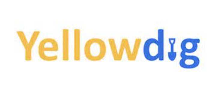 yellow dig