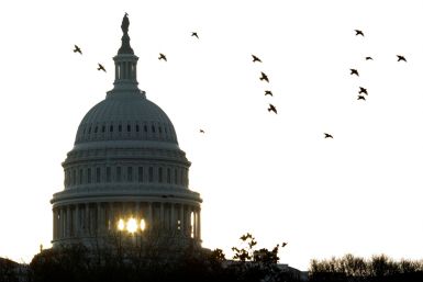 Birds fly near the U.S. Capitol at sunrise, on Capitol Hill in Washington