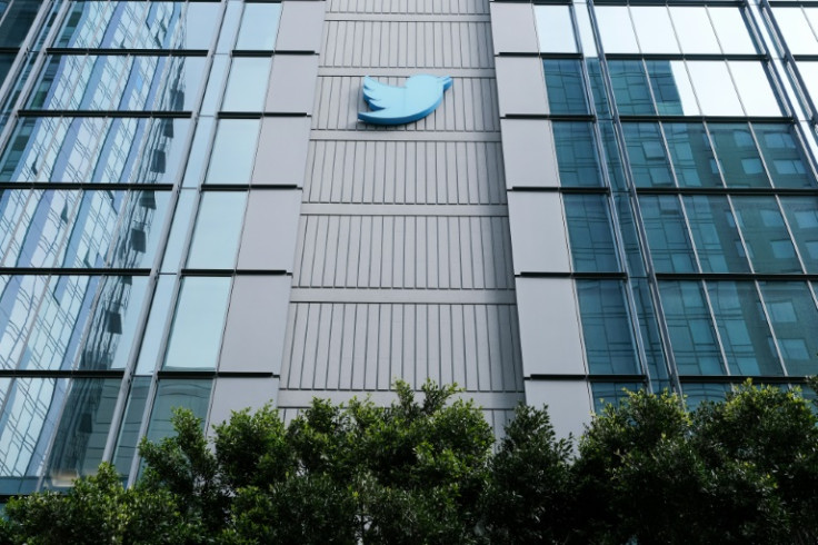 Will Twitter's blue bird take off under Elon Musk's ownership?