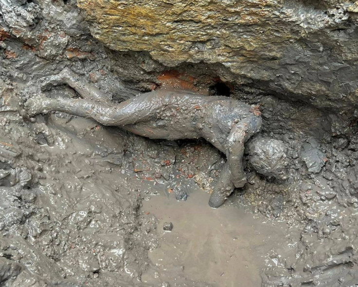 Exceptional discovery as 2,300-year-old statues emerge in Tuscany