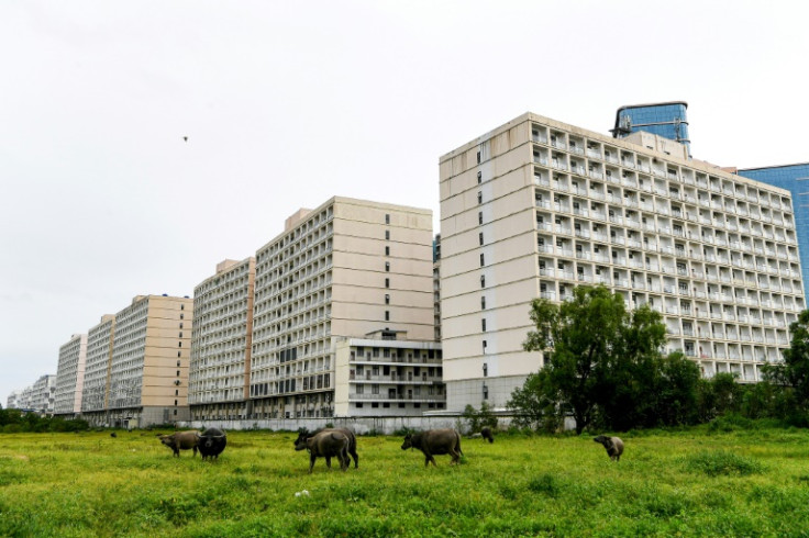 Buffalos walk in a field in front of the empty buildings of in the Chinatown district in Sihanoukville