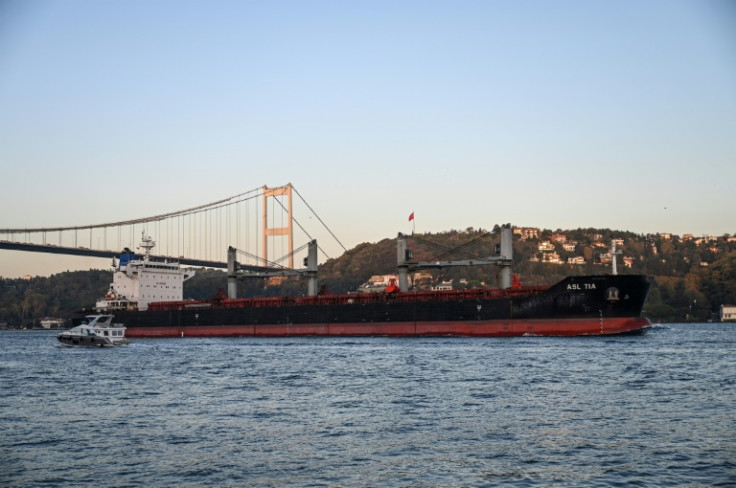 Some 10 million tonnes of grains and other foodstuffs had been exported from Ukraine under the deal