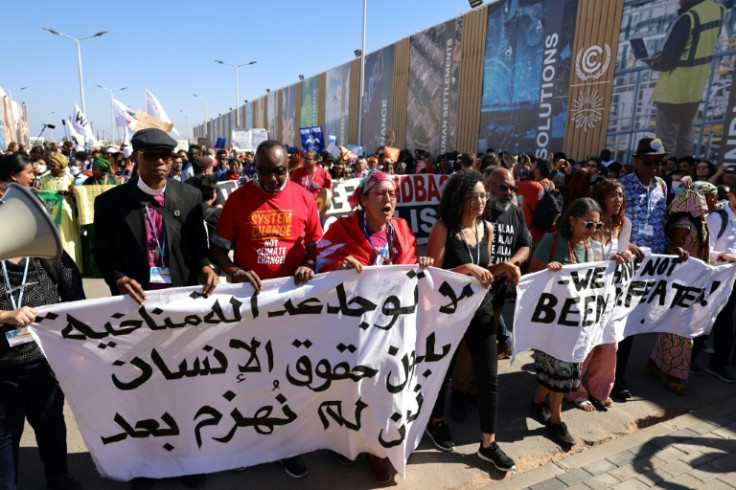The sister of jailed Egyptian activist Alaa Abdel Fattah, Sanaa Seif (fourth from left), was at the front of the protest for climate justice and human rights
