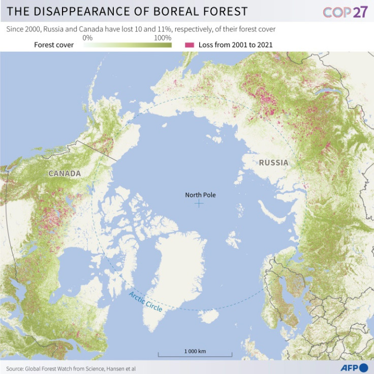 Map of the Earth's northern hemisphere showing the loss of forest cover since 2000