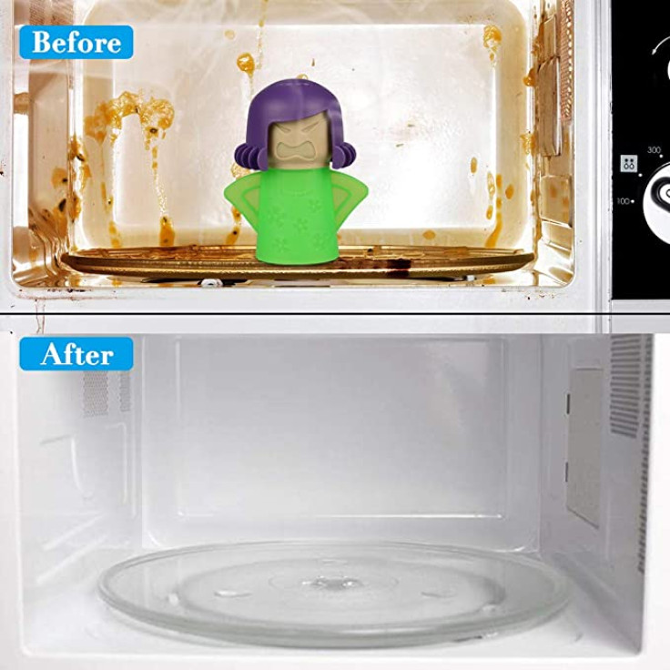 Microwave Cleaner