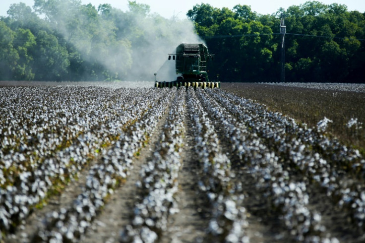 The United States is the world's third largest cotton supplier, behind India and China