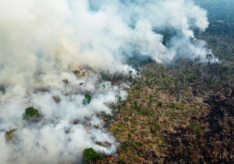 Rainforest Giants Brazil, Indonesia, DR Congo Sign Deforestation Pact ...