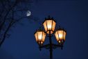 Street light, lamp, artificial light, night,
