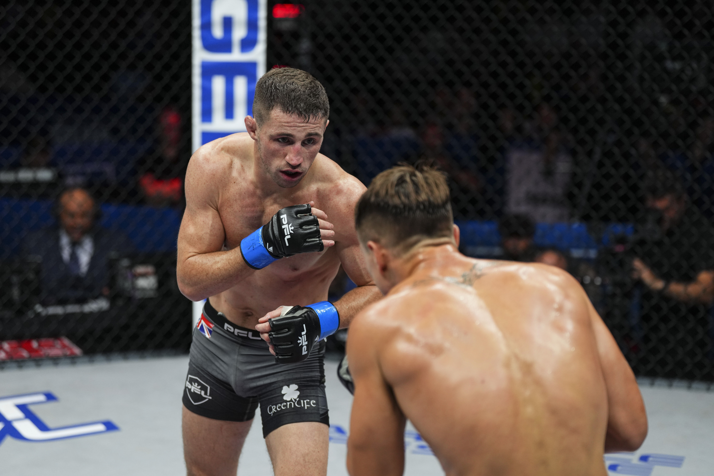 2022 PFL Finals Preview: Brendan Loughnane Touted As Favorite To Be New ...