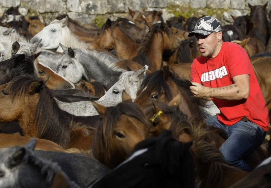 A reveller tries to hold on to a wild horse during the quotRapa Das Bestasquot event in the village of Sabucedo