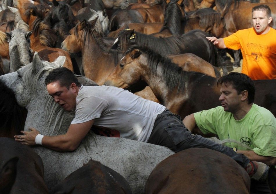Revellers try to hold on to a wild horse during the quotRapa Das Bestasquot event in the village of Sabucedo