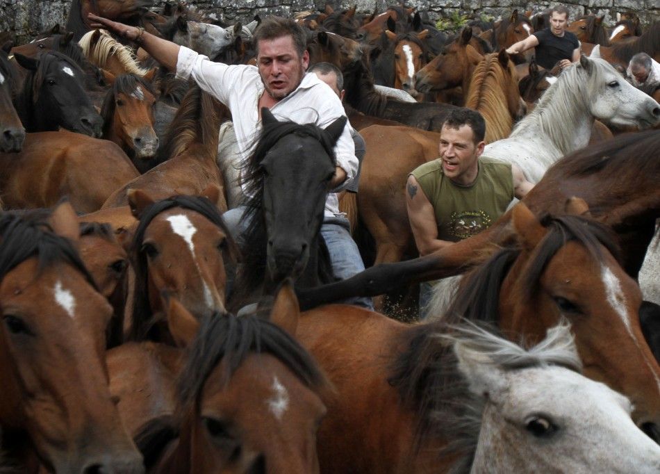 Revellers try to hold on to a wild horse during the quotRapa Das Bestasquot event in the village of Sabucedo
