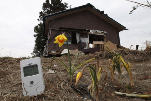 Radiation in Japan soil outside nuclear evacuation zone prompts evacuation of Fukushima city