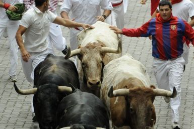 Running of the Bulls 2011. Pamplona, Spain