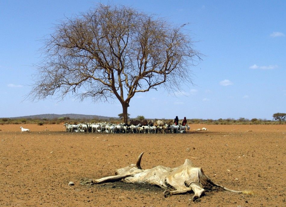 Worst drought of Africa in 60 years