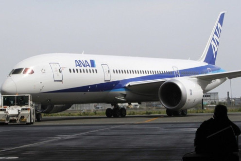 An ANA 787 Dreamliner 