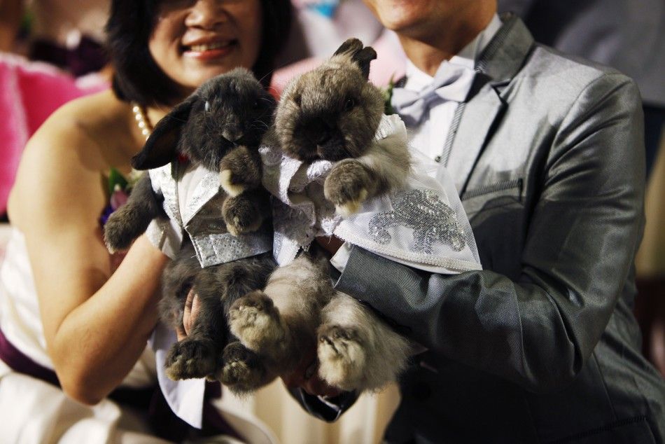 Sterilized pet rabbits dressed in wedding outfits are pictured with their owners during a wedding ceremony in Hong Kong