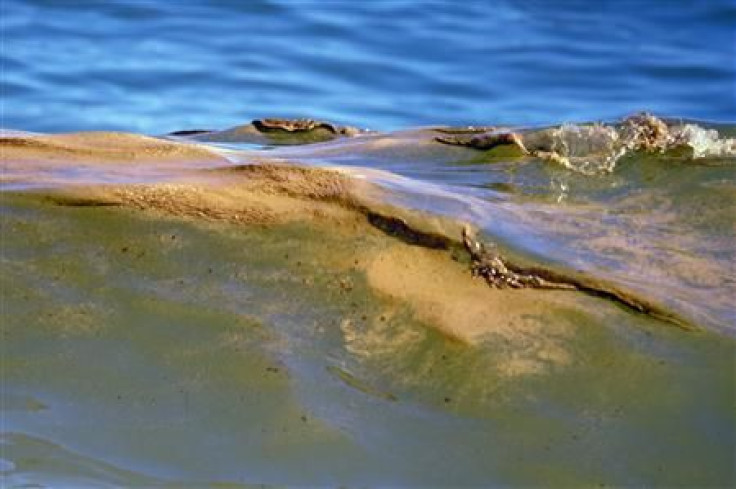 Oil from Deepwater Horizon spill swirls in waves off beach in Gulf Shores, Alabama