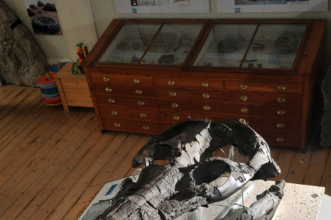 World’s largest pre-historic ‘Sea Monster’ skull found.