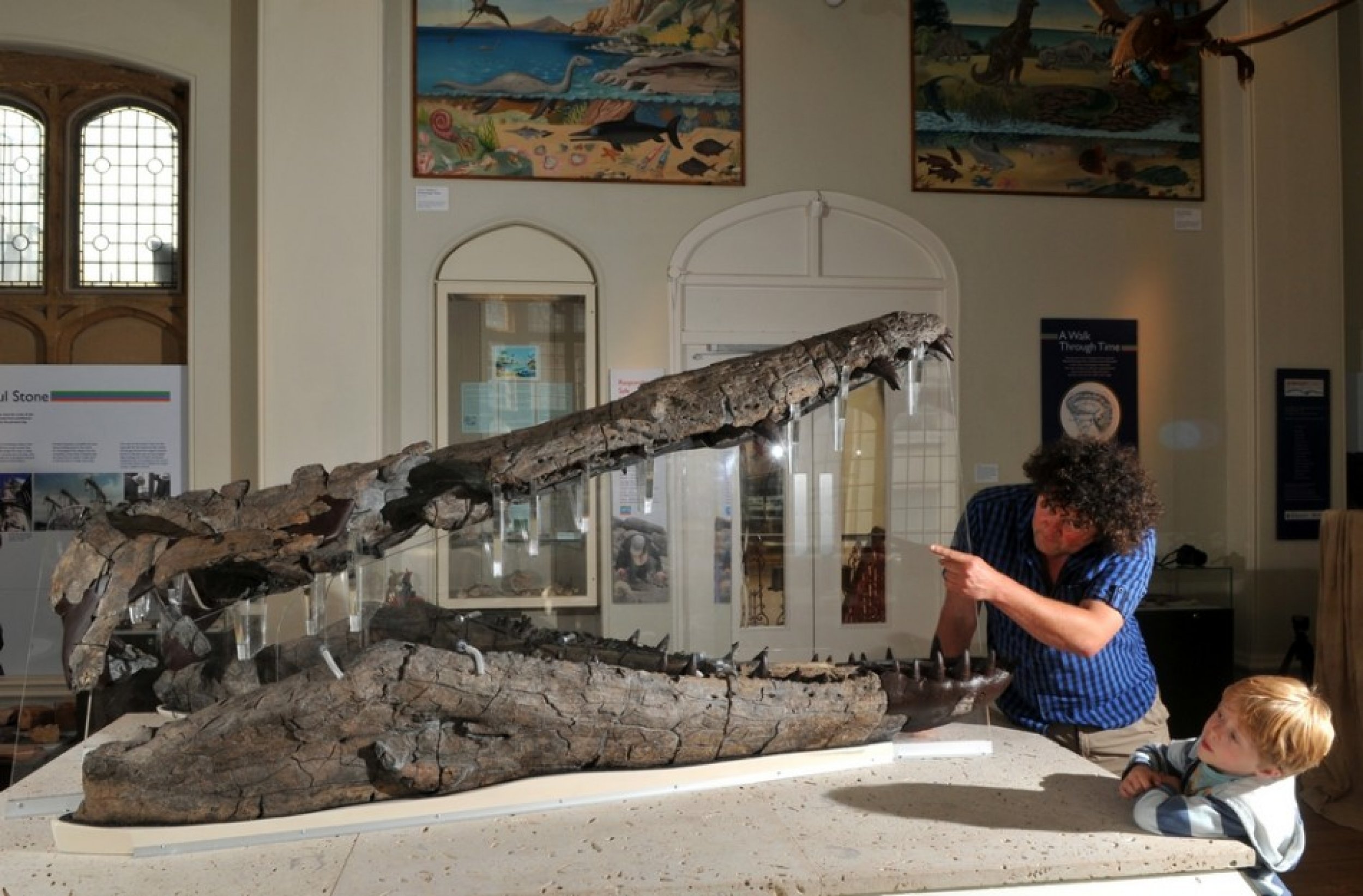 Worlds largest pre-historic Sea Monster skull found.