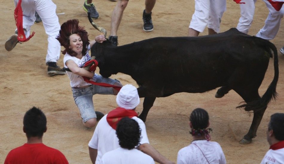 A heifer charges at a reveller at Pamplona039s bullring after the sixth running of the bulls at the San Fermin festival in Pamplona