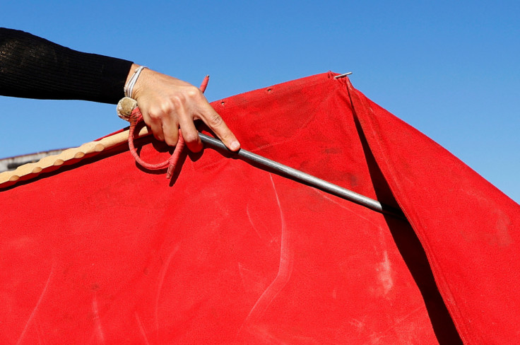France debates banning traditional "corrida" bullfighting