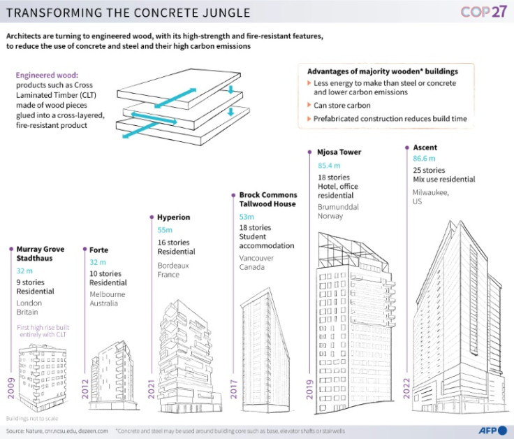 Transforming the concrete jungle