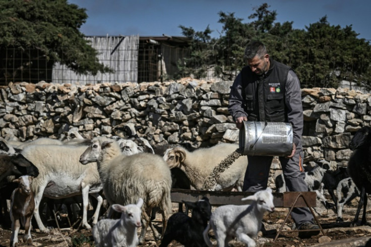 Some farmers have had to slaughter part of their herd because they can't afford to feed them anymore