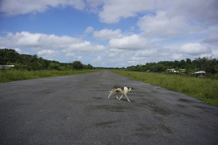 A dog crosses the runway of the Port Kaituma airport in September; the site is where US Congressman Leo Ryan, three journalists and a Jonestown cult member were shot dead the day before the mass murder-suicide