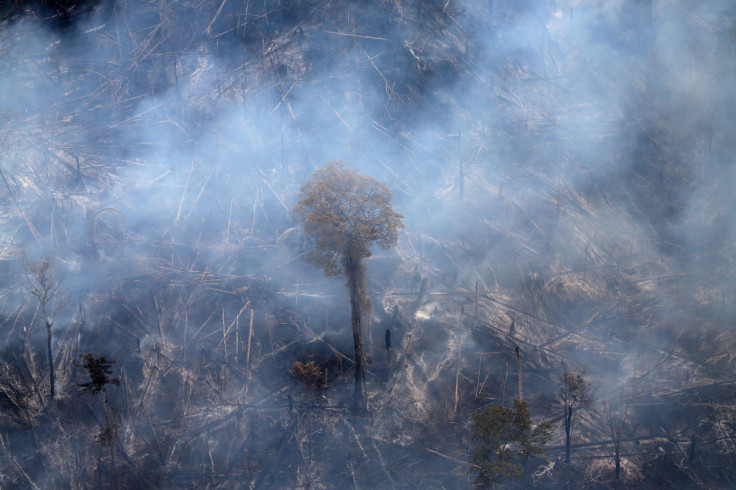 An aerial view shows a tract of Amazon jungle burning as it is cleared by farmers in Itaituba