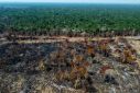 The Food and Agriculture Organization estimates that an aggregate area of land bigger than the European Union has been deforested around the world over the past three decades