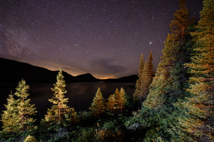 A general view shows stars and trees of the Canadian boreal forest in the La Haute-Cote-Nord municipality west of Baie-Comeau, Quebec